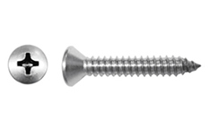 DIN 7983 Phillips hval head self-sapping sheetmetal screw 2.9x25 - A4